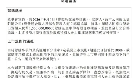 潮玩新星：一年内斩获千万战略投资，成长秘诀